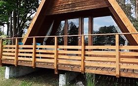 Domki Pod Debami